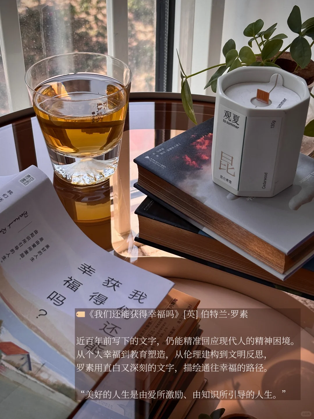 5月书单 | 忙碌的日子也见缝插针读了很多书