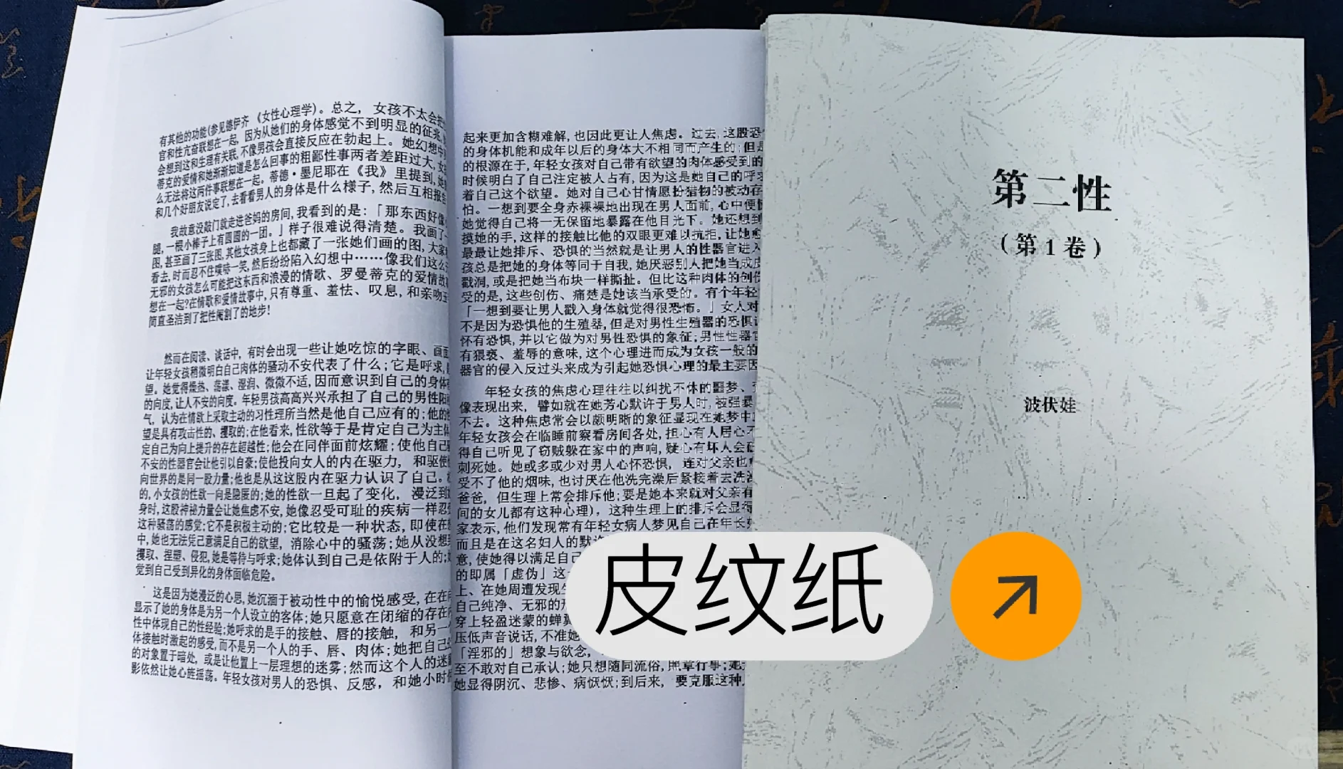 第二性 台版 直接打印版