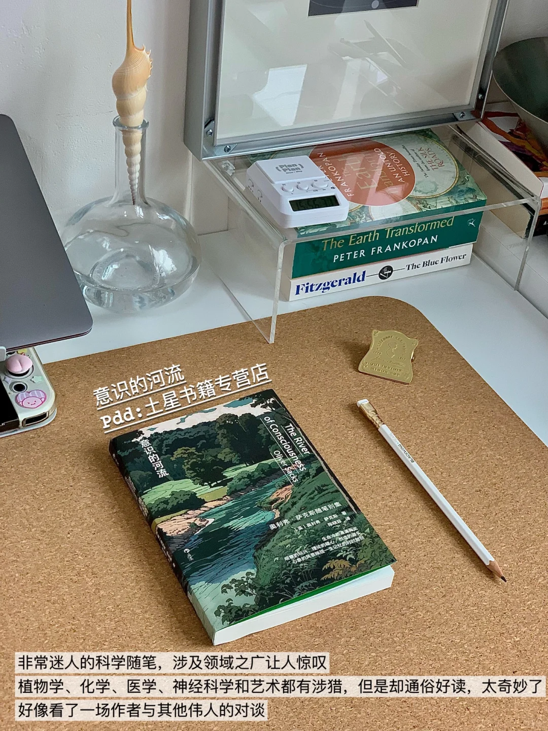 适合暑假深度思考的有趣社科书单❗Ⅰ📚pdd