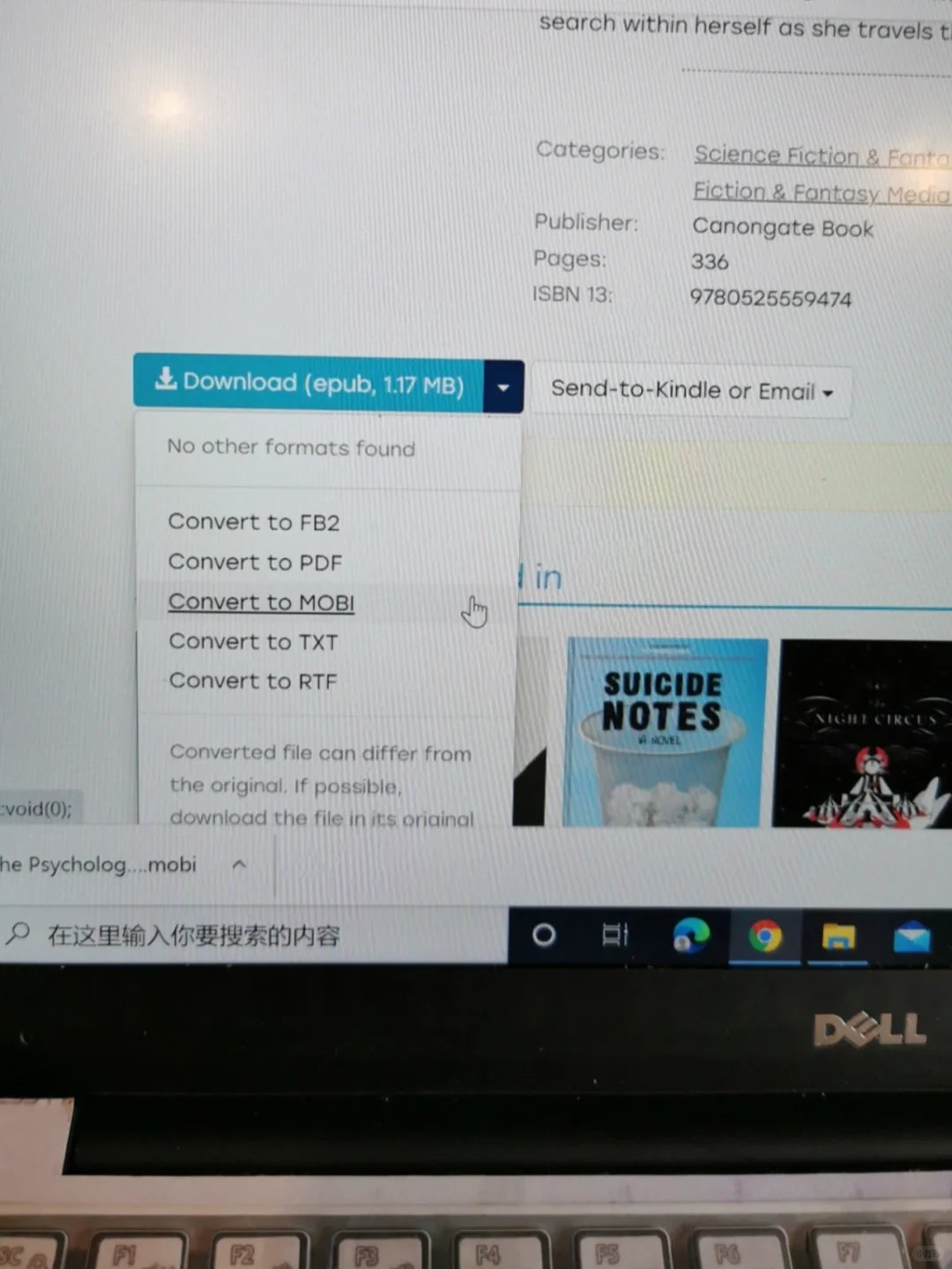 Kindle新手VS经验贴😅