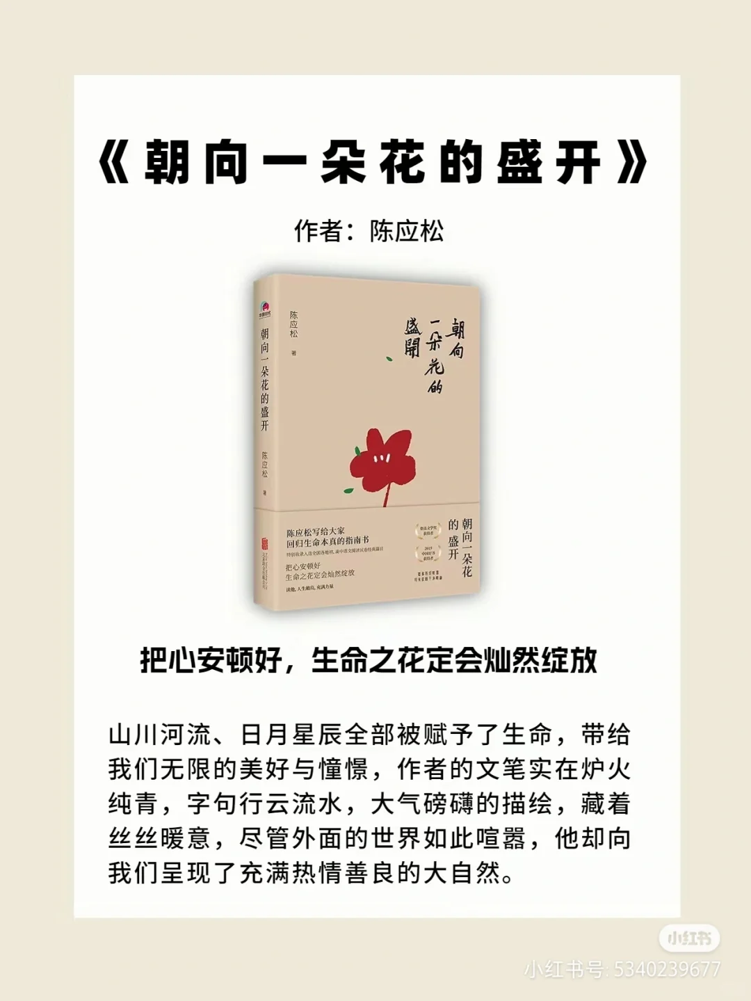 推荐好书