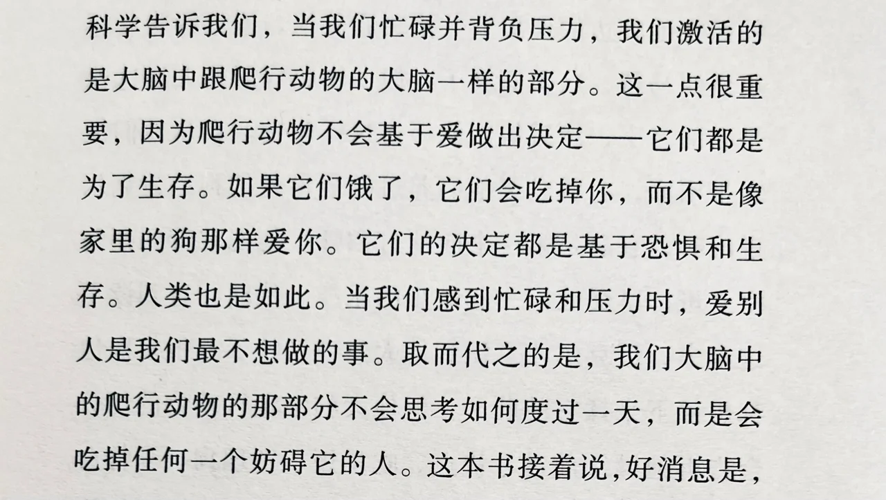 20几岁就焦虑爆棚！！这本书救了我一命！！