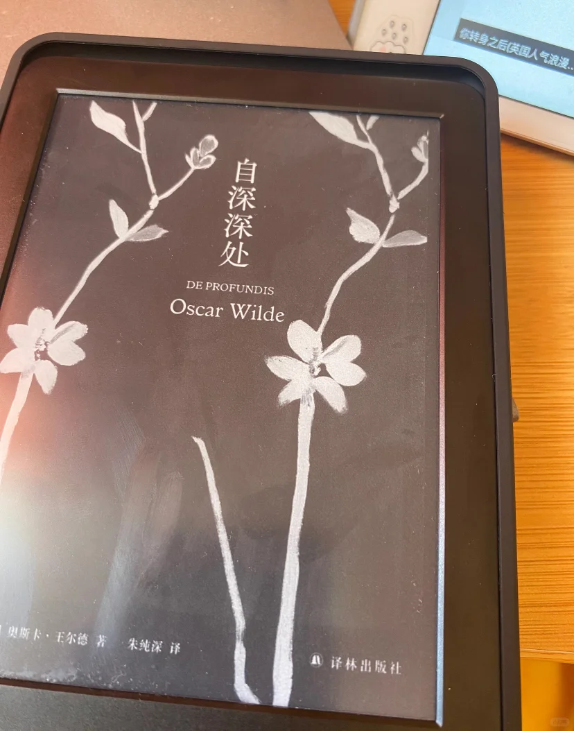便宜好kindle下车啦，闲鱼还是有点东西滴