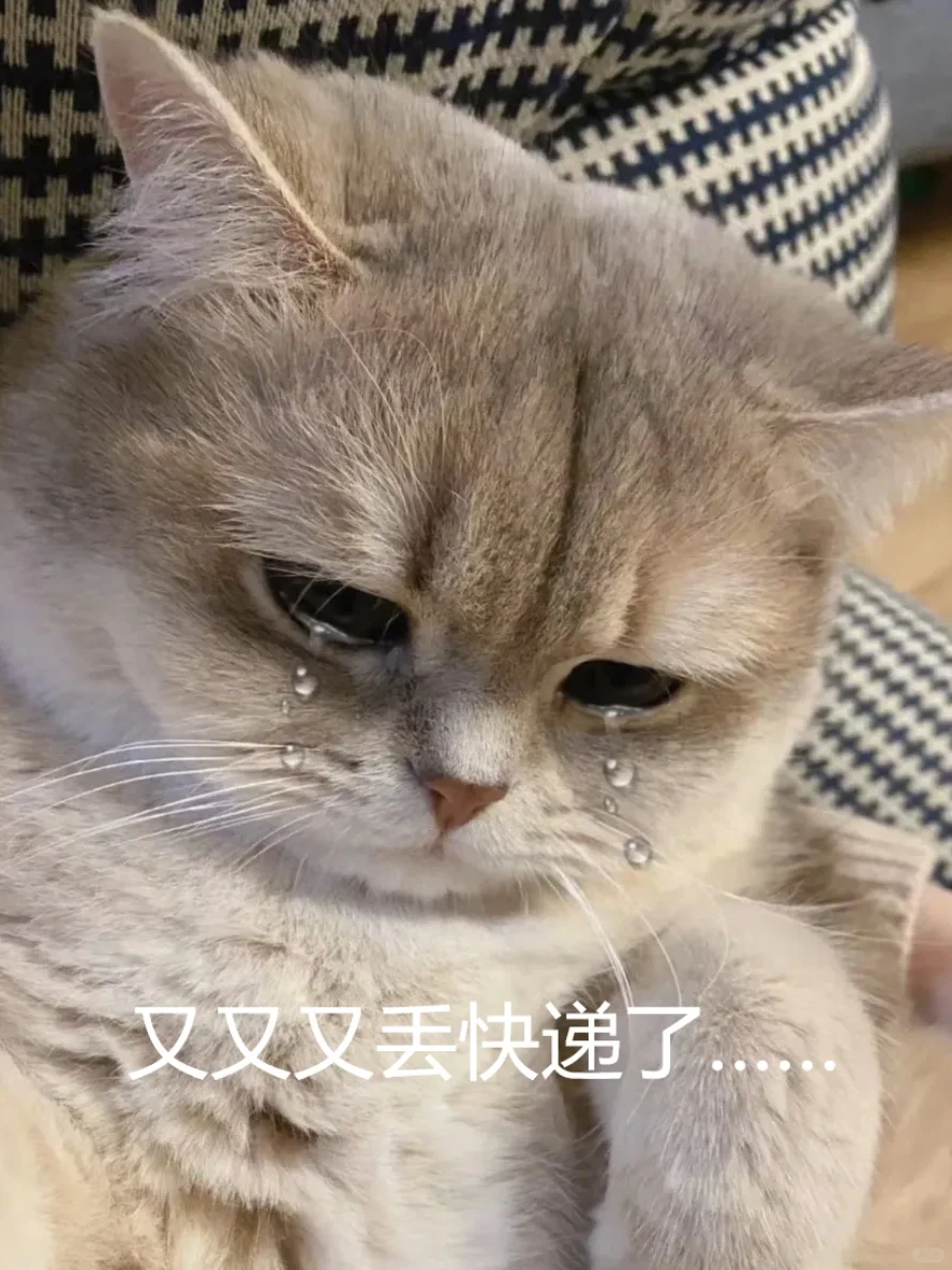 又被偷快递📦