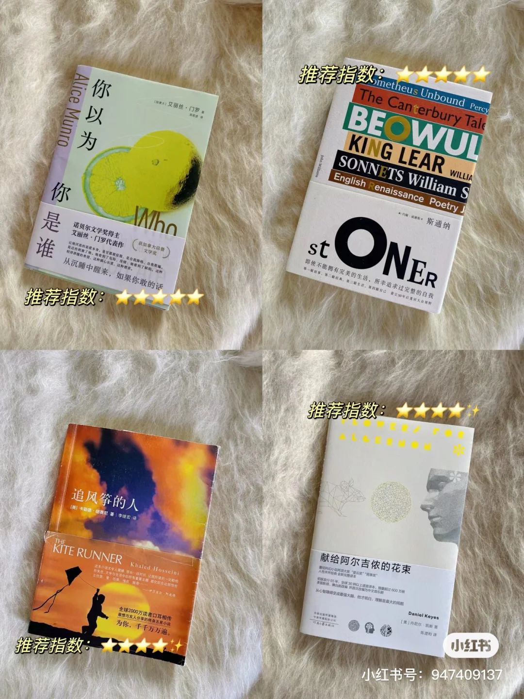 半年度书单｜只会读读书。