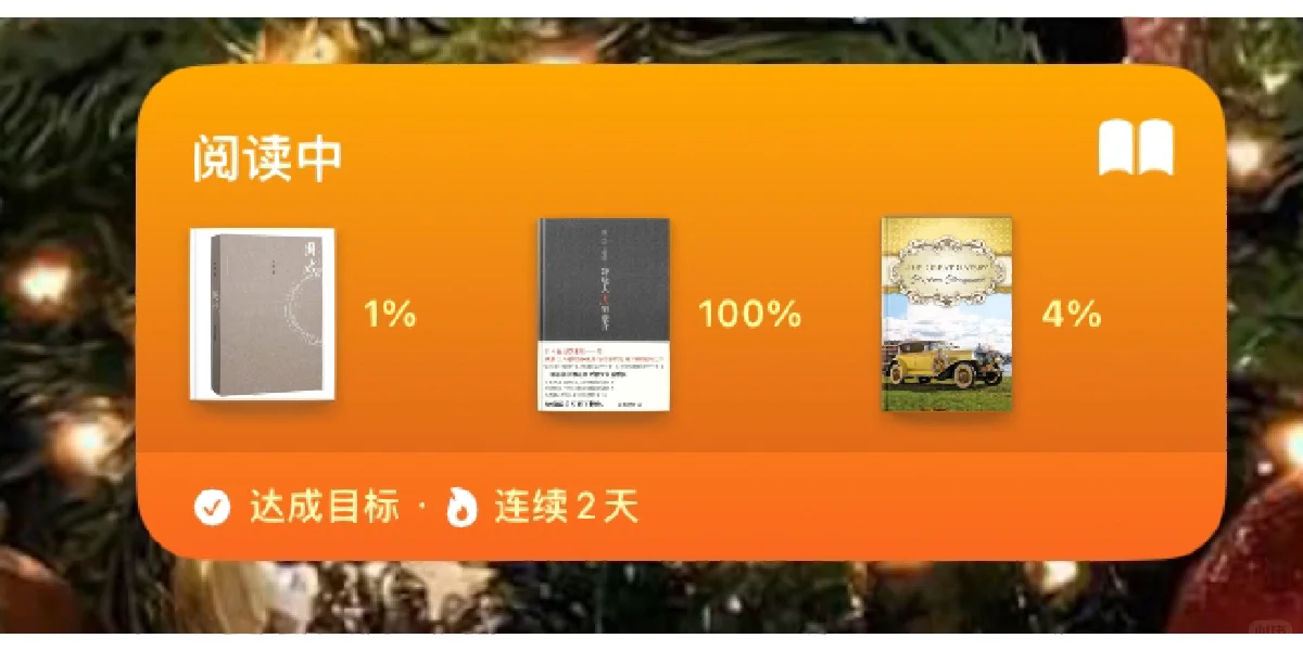 iPad自带的“图书”功能已经很全啦！