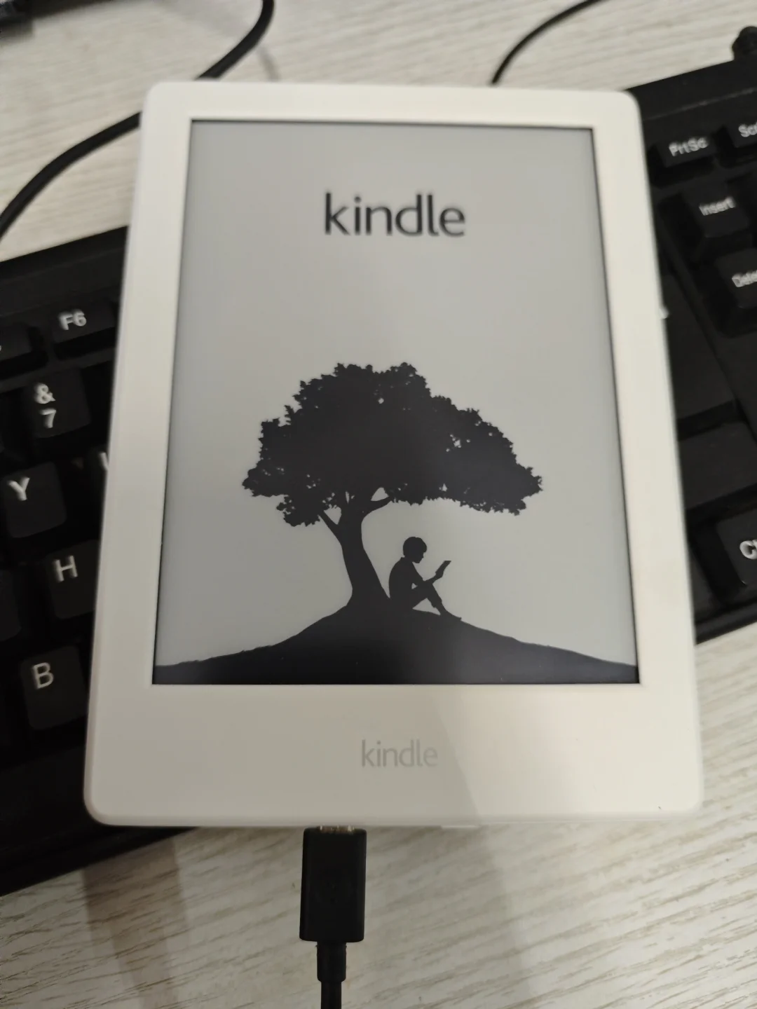 kindle观察日记