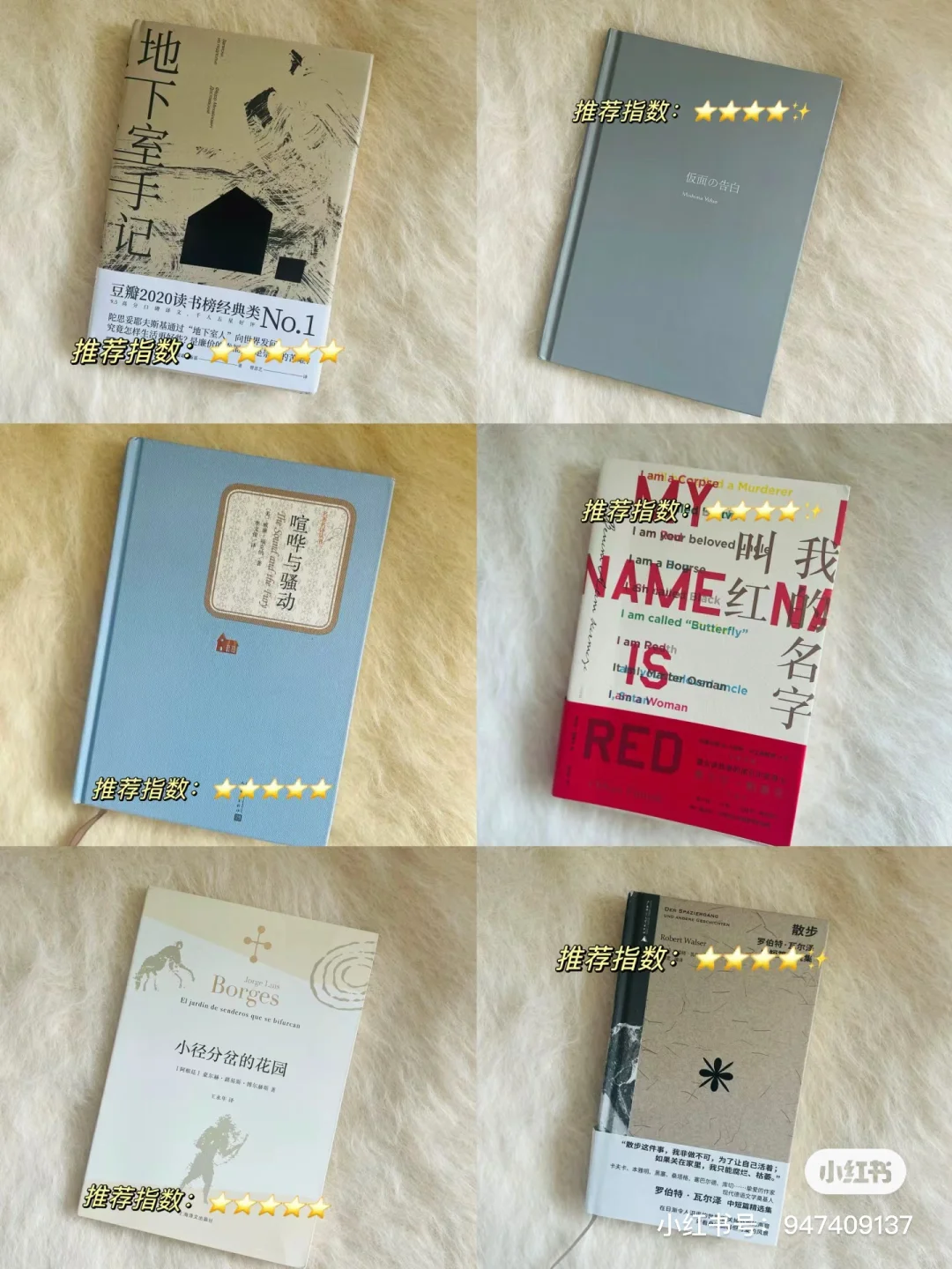 半年度书单｜只会读读书。