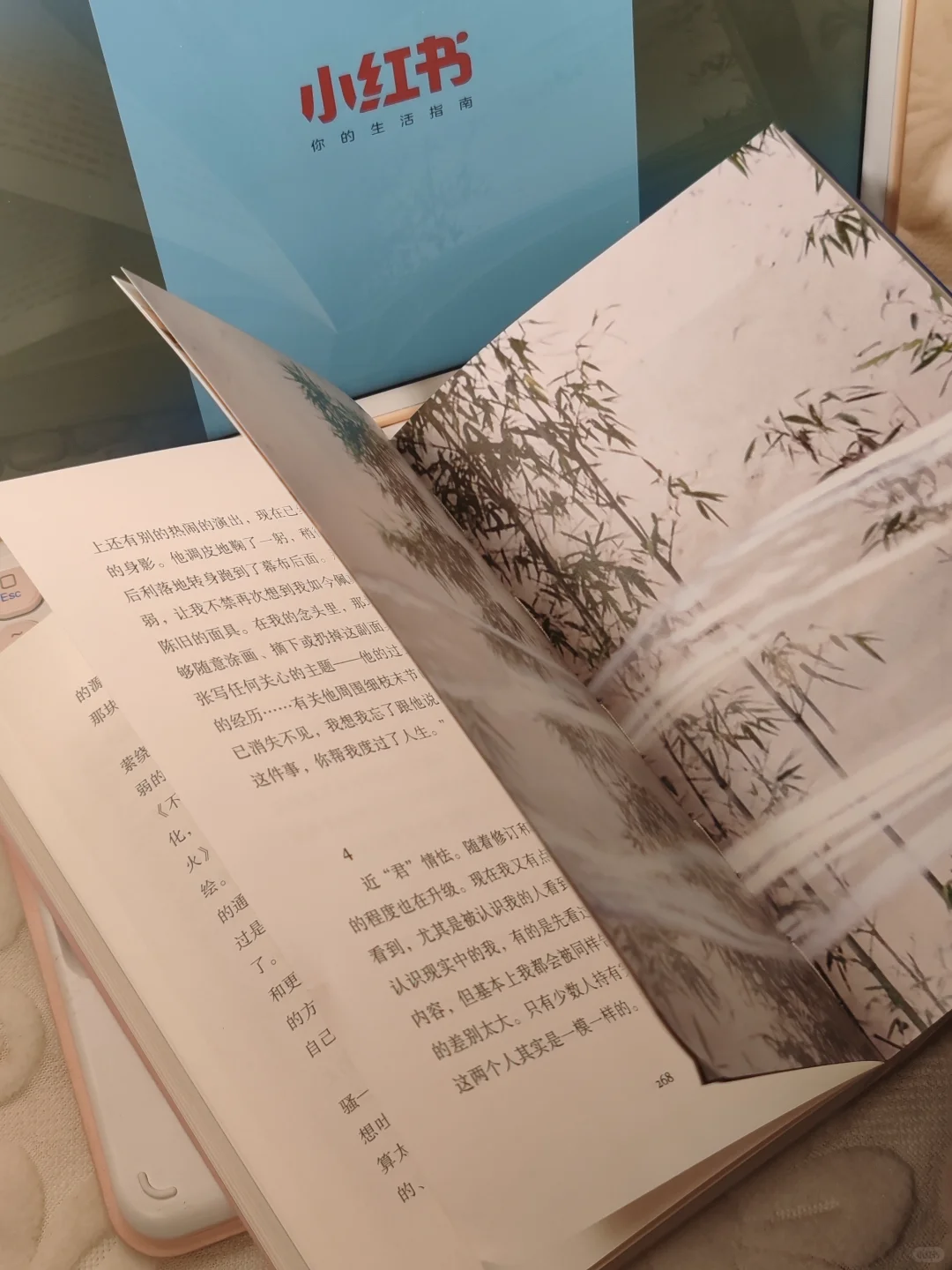 今年的书单，是笔记本上的📚