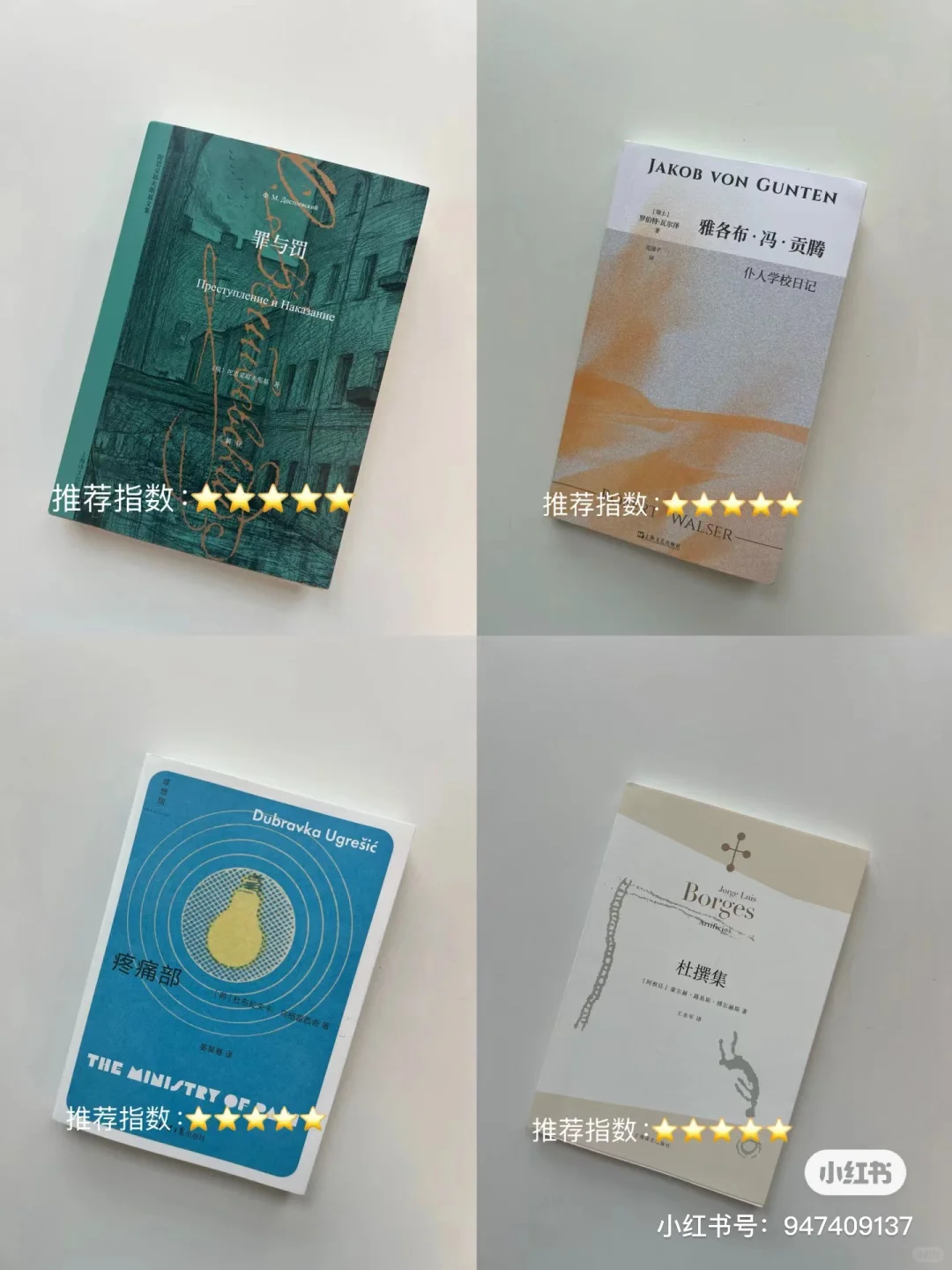 半年度书单｜只会读读书。