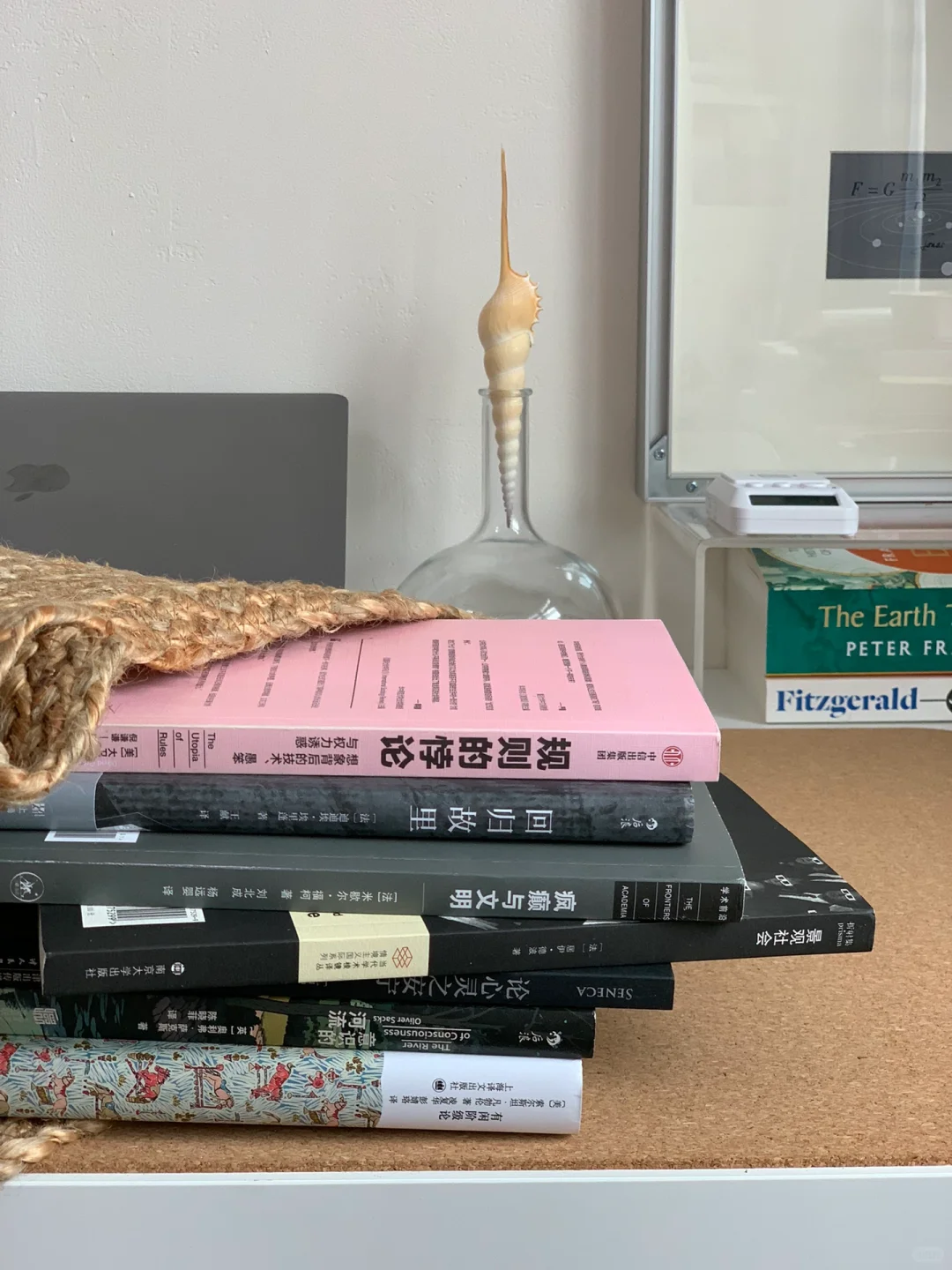 适合暑假深度思考的有趣社科书单❗Ⅰ📚pdd