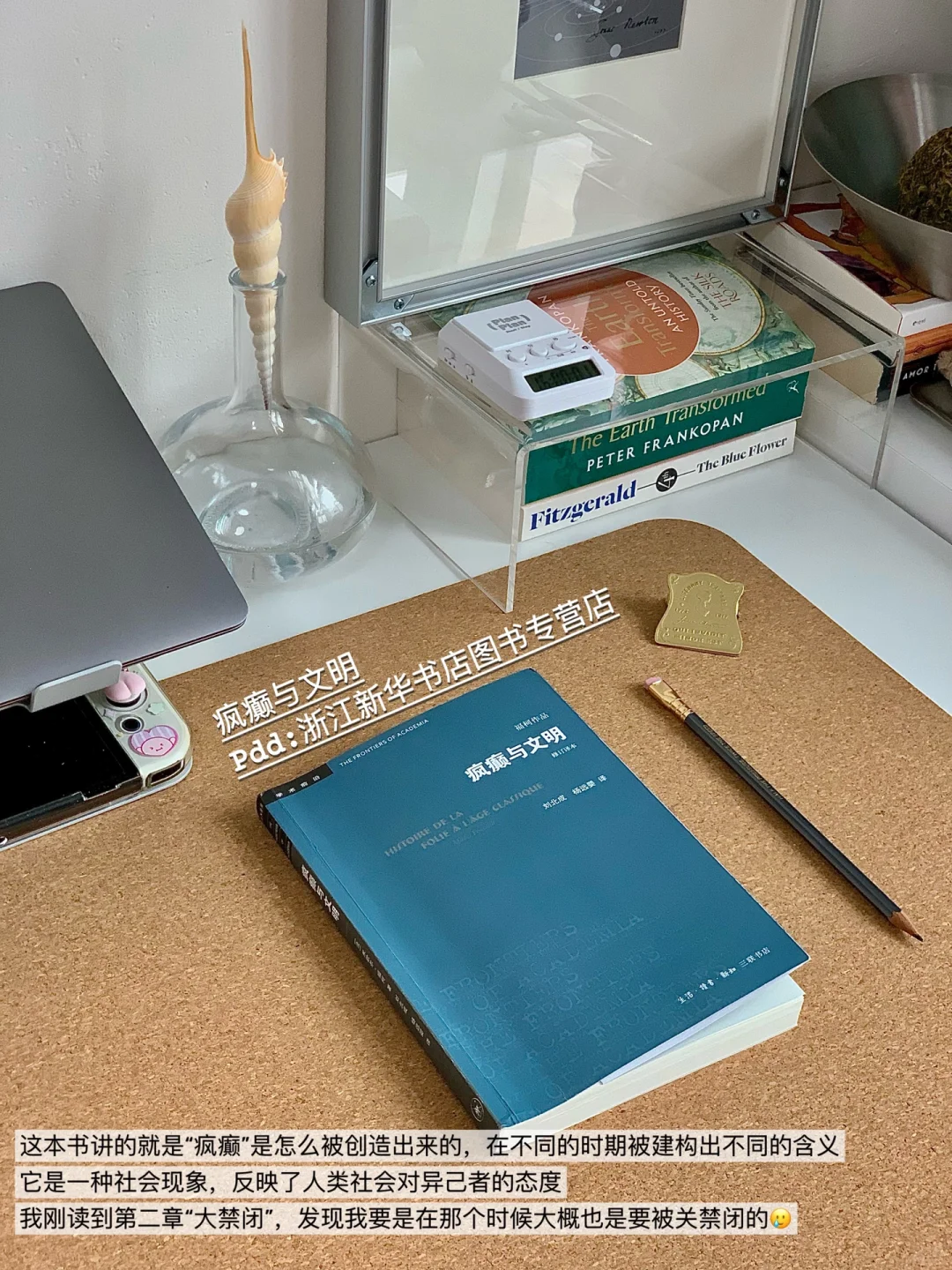 适合暑假深度思考的有趣社科书单❗Ⅰ📚pdd