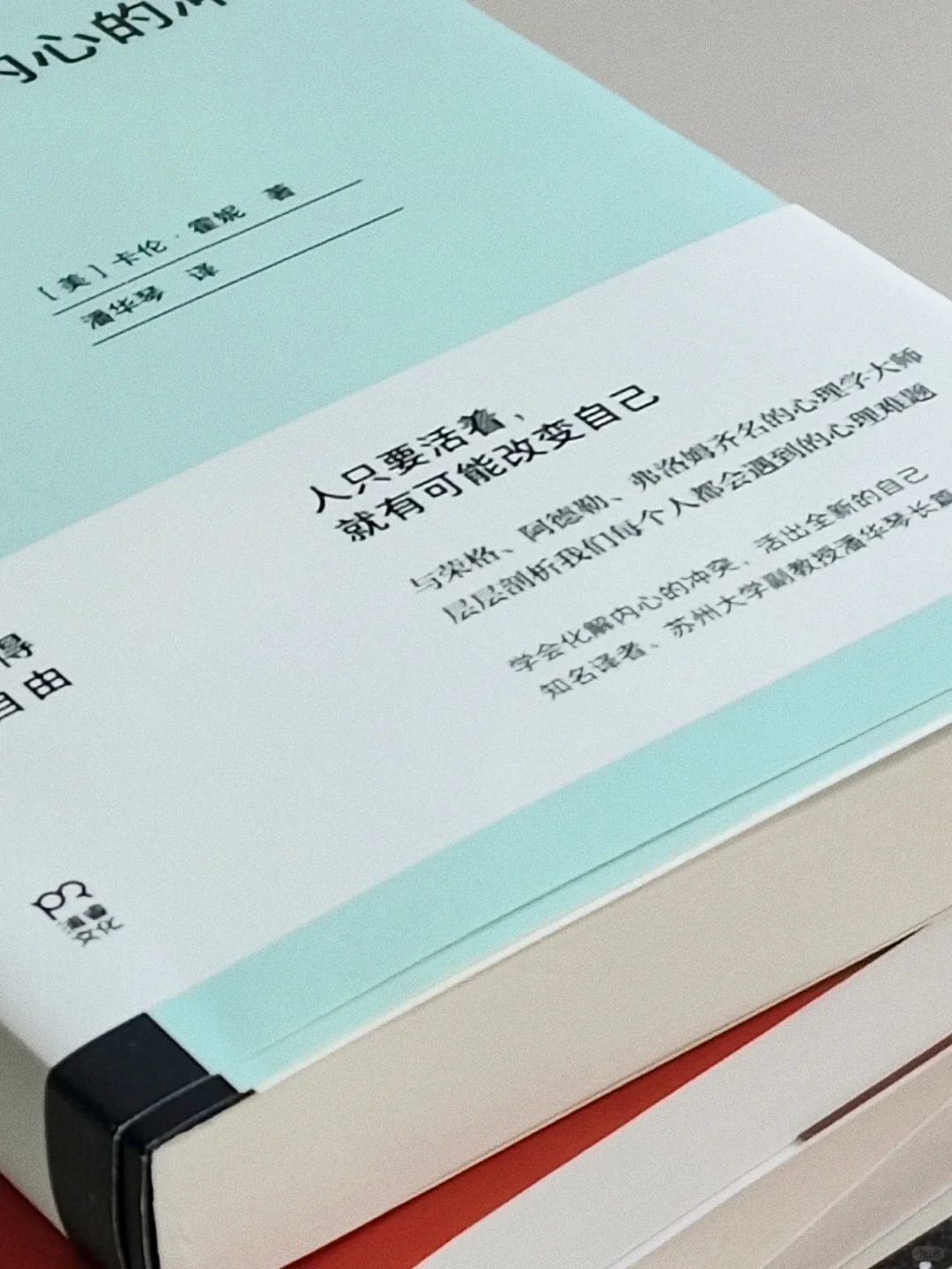 当我通过大量阅读来保持稳定的情绪。
