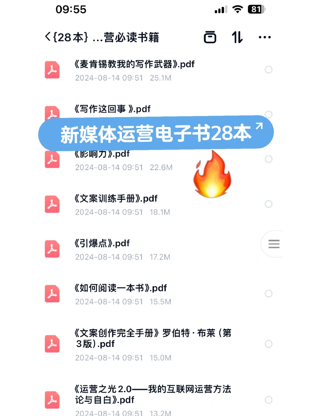 新媒体运营必备28本电子书.pdf