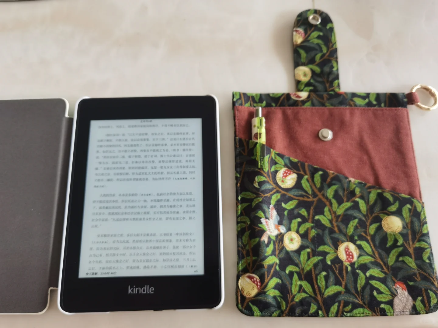 说一下kindle和iPad阅读的感受