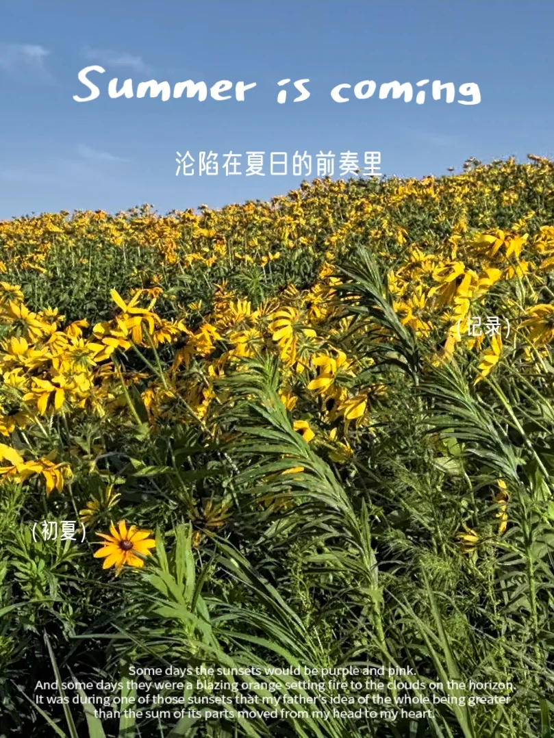 ESG备考 0604 电子书还是蛮适合的
