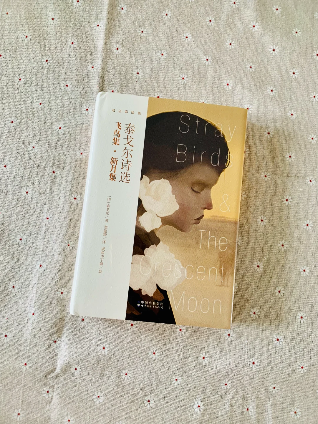 大家最近都买了哪些书呢？快来和老周分享！