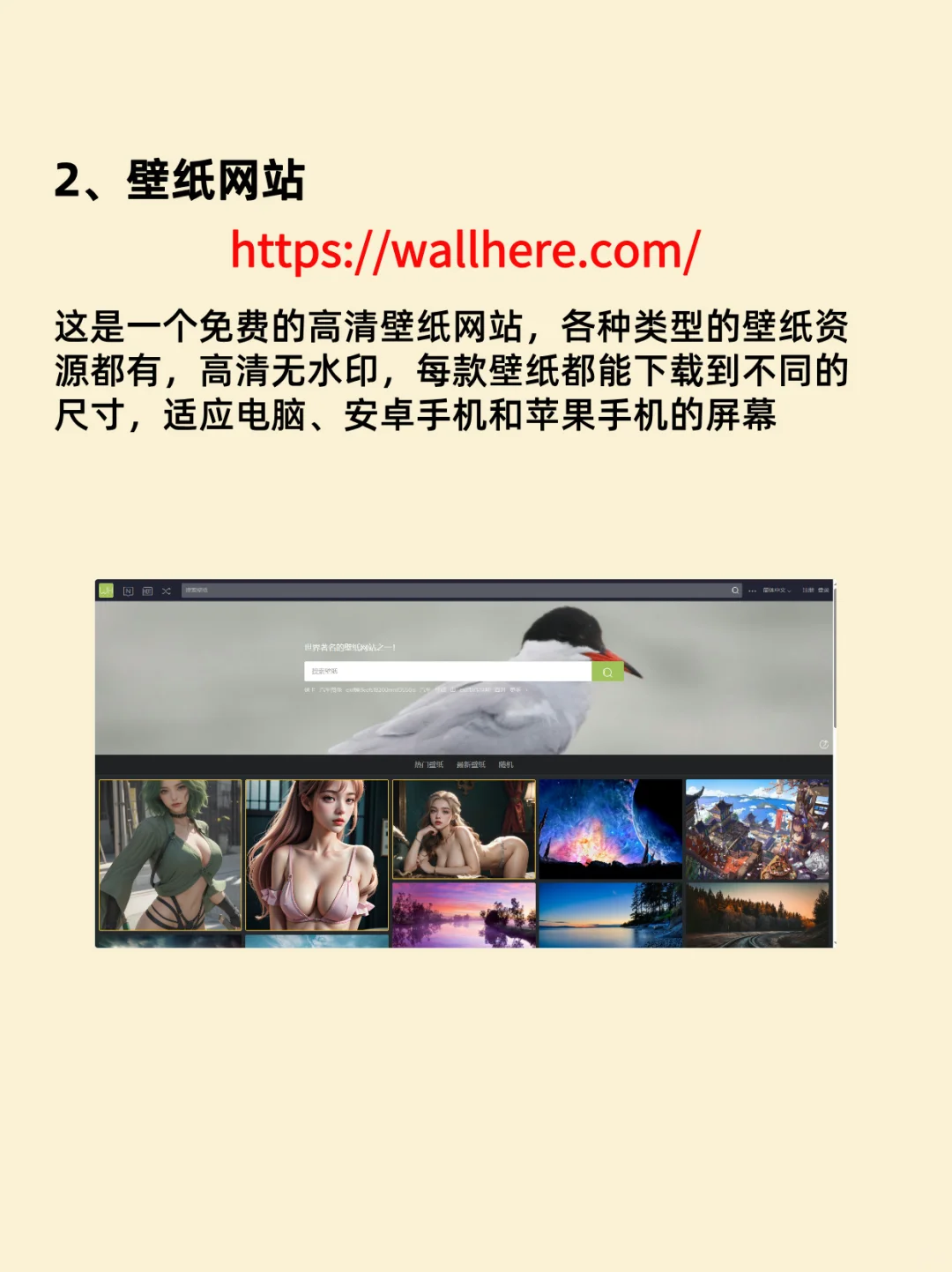 8个值得收藏的神仙资源网站