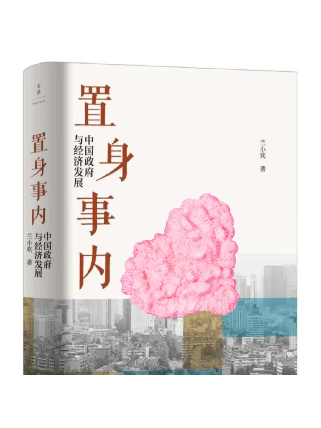 置身事内电子书pdf