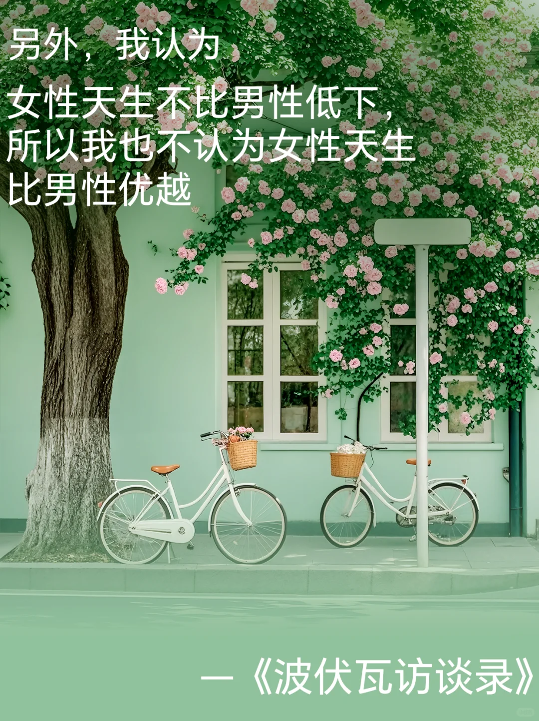 识己书店今日份书单--书店里有什么书？