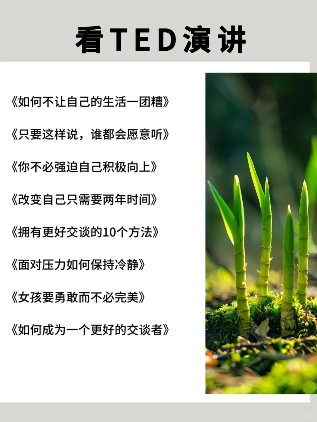 2025狂读这些书，脑子真的会变快🚀