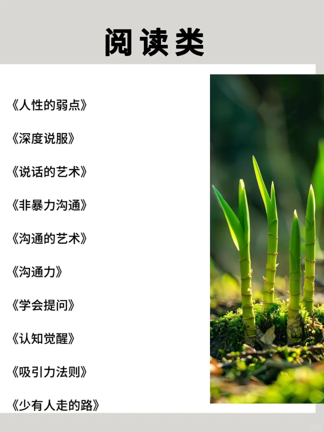 2025狂读这些书，脑子真的会变快🚀
