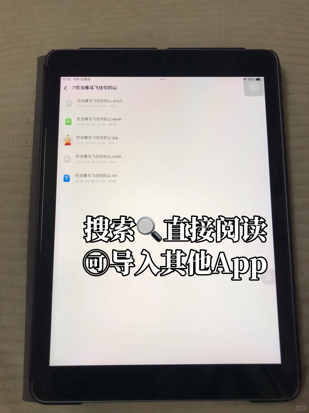 ipad实现电子书自由❗️图书、小说、外语都能看