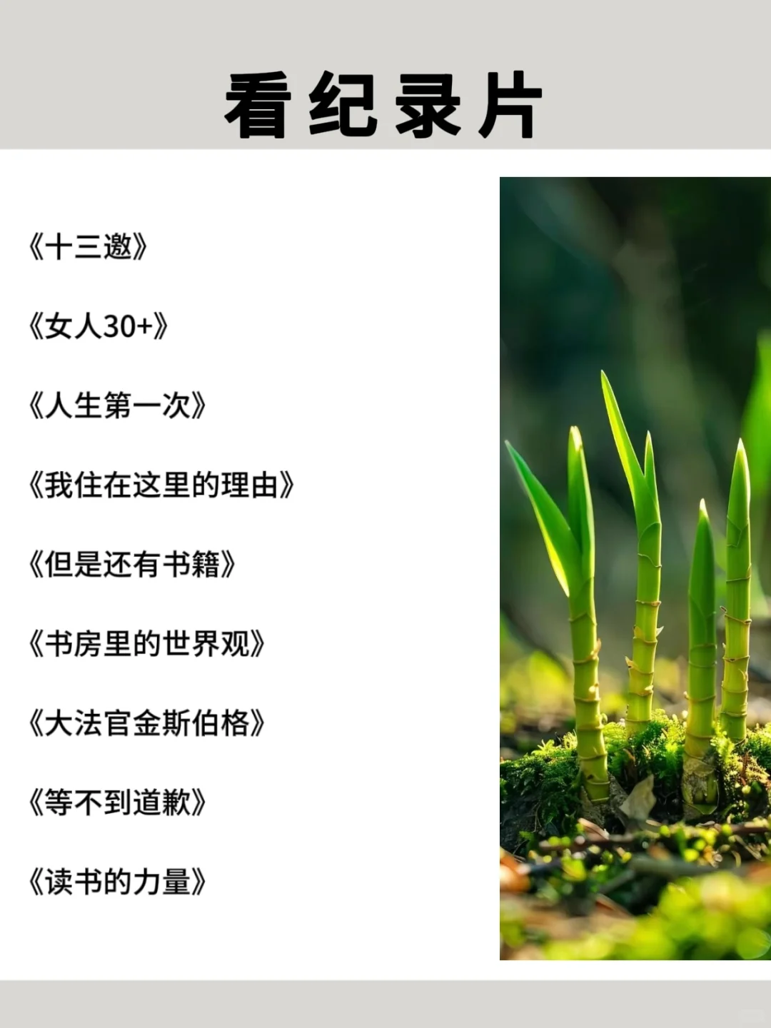 2025狂读这些书，脑子真的会变快🚀