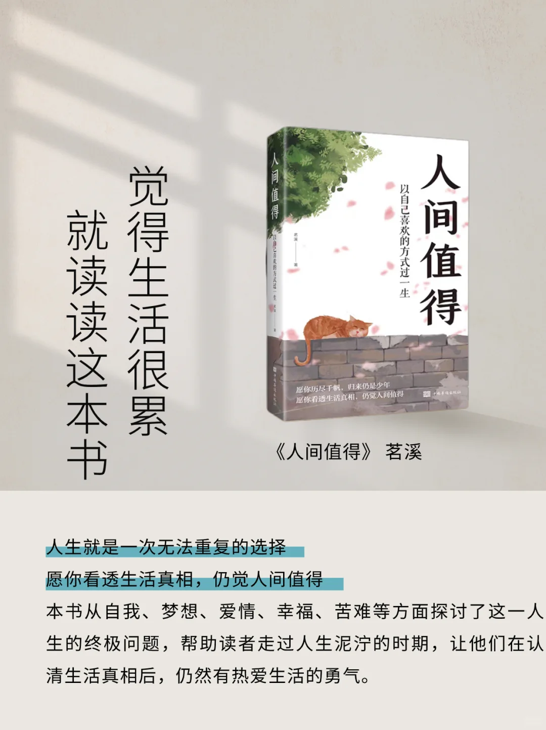 不愧是央视推荐，5本值得摘抄一遍的书！！