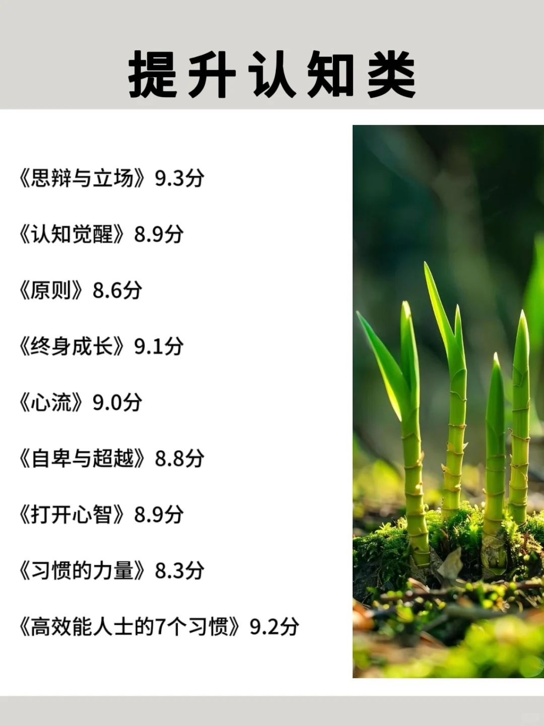 2025狂读这些书，脑子真的会变快🚀