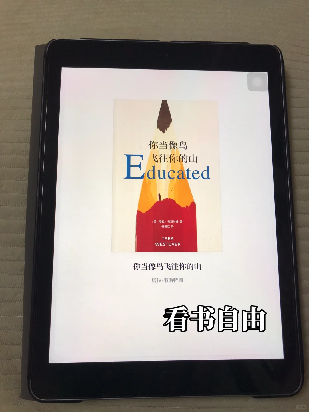 ipad实现电子书自由❗️图书、小说、外语都能看