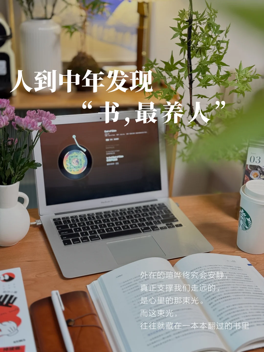 🔥人到中年，发现：书，最养人！❤️🌻悄悄变好！