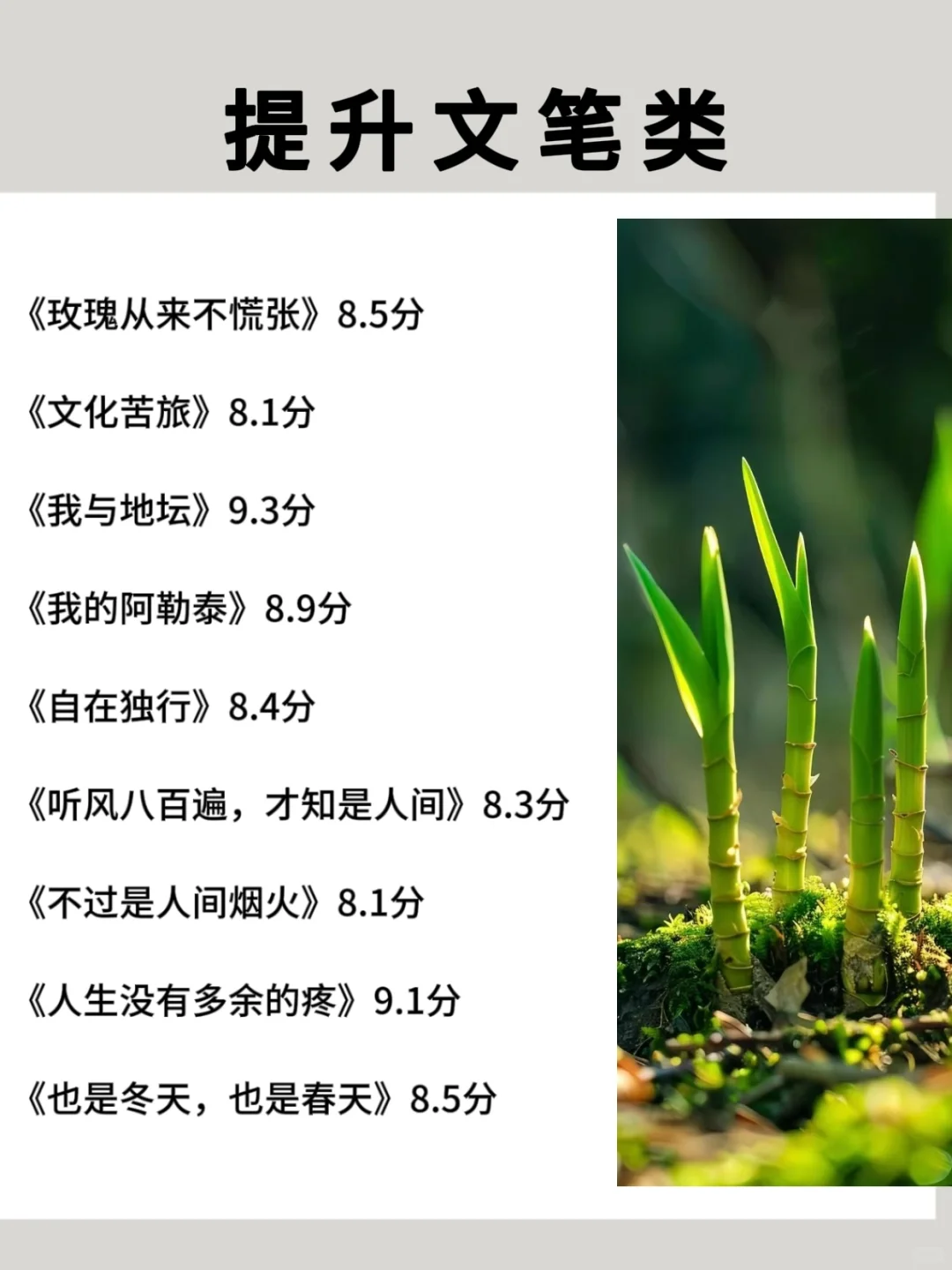 2025狂读这些书，脑子真的会变快🚀
