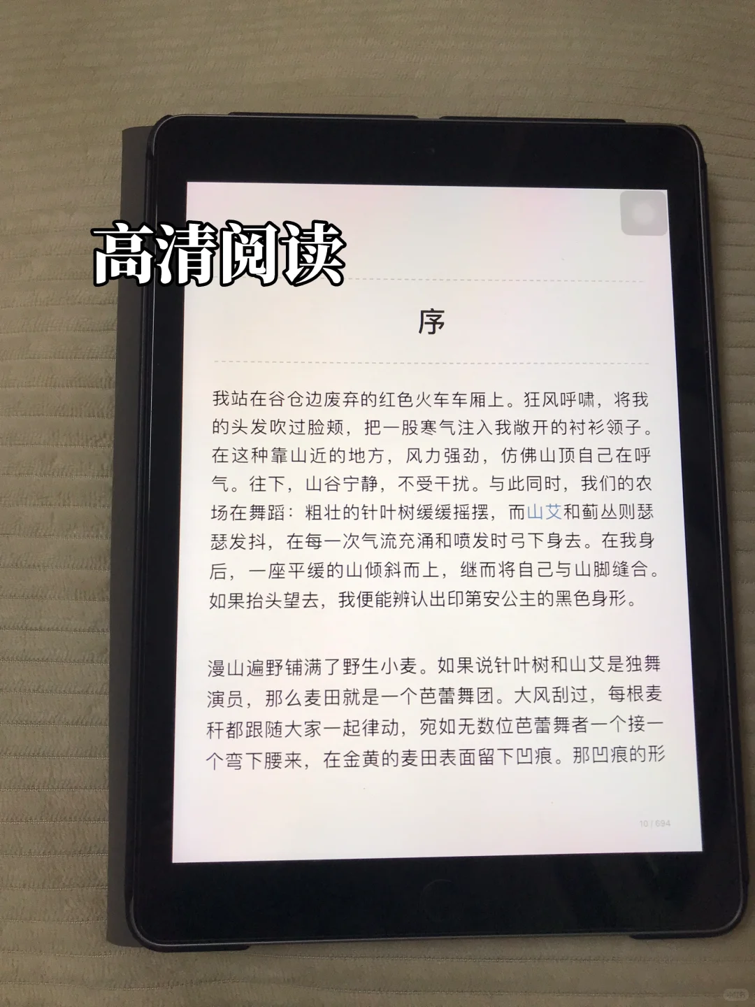 ipad实现电子书自由❗️图书、小说、外语都能看