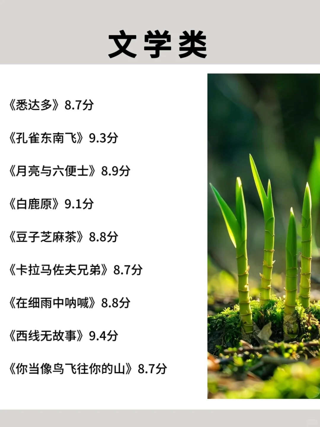 2025狂读这些书，脑子真的会变快🚀