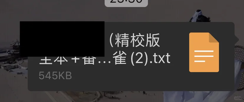 夸克 txt 版本