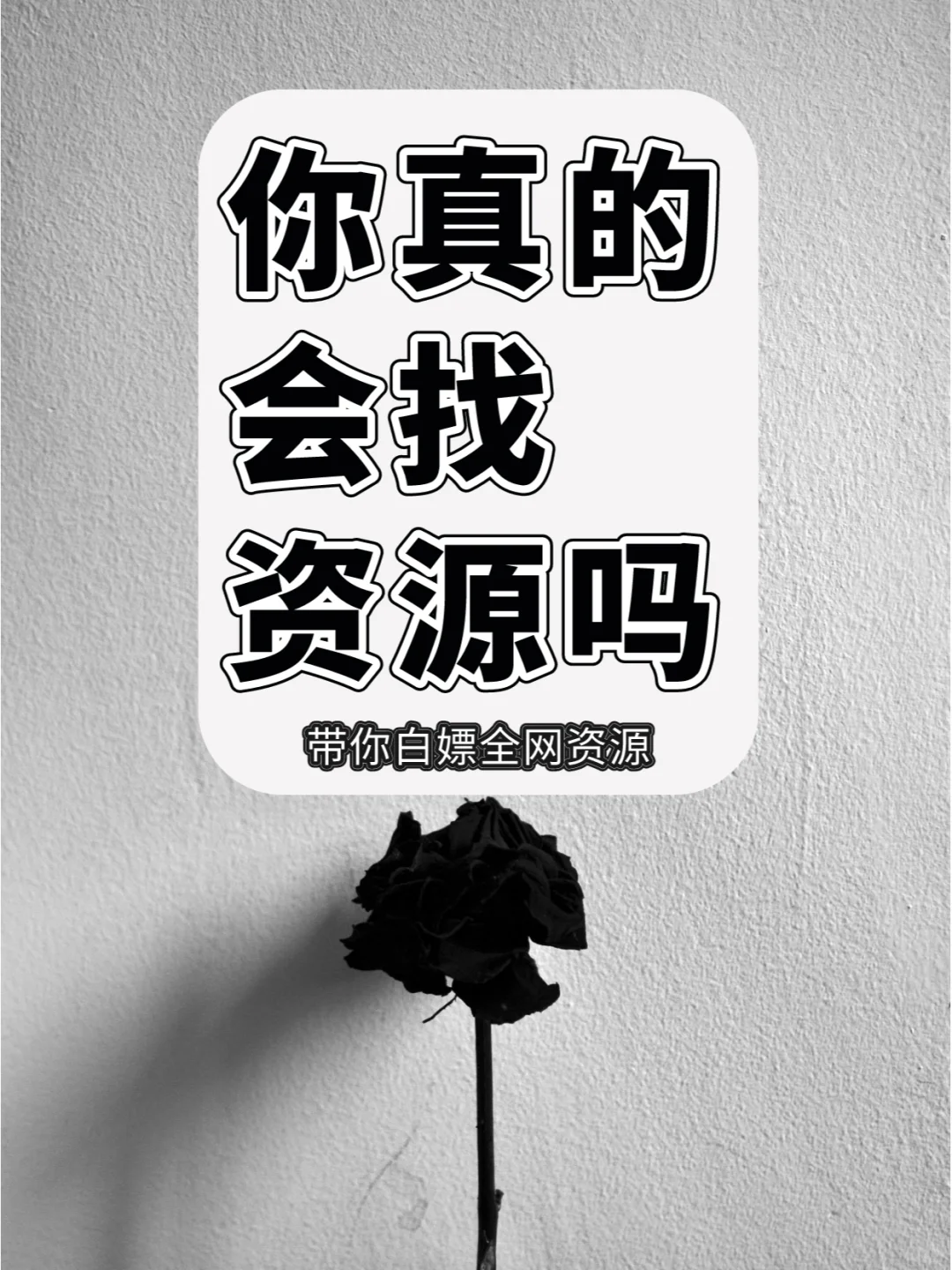 轻松白嫖全网资源✅动漫、小说免费追✨