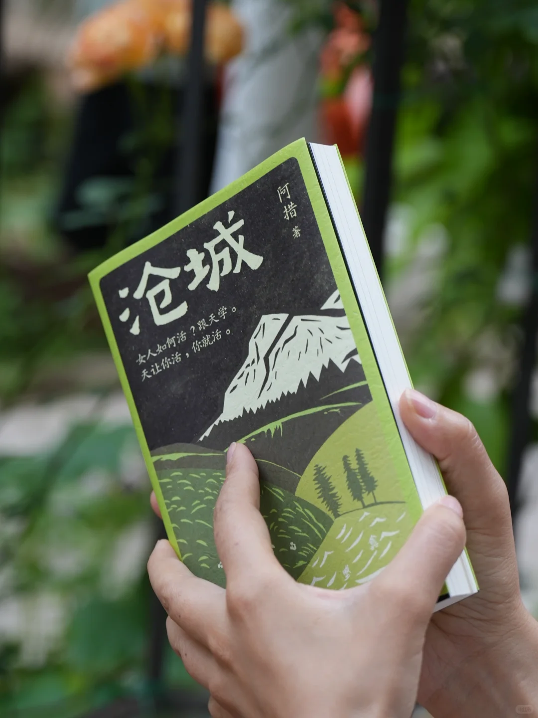 上半年读了三十本书，推荐这十本
