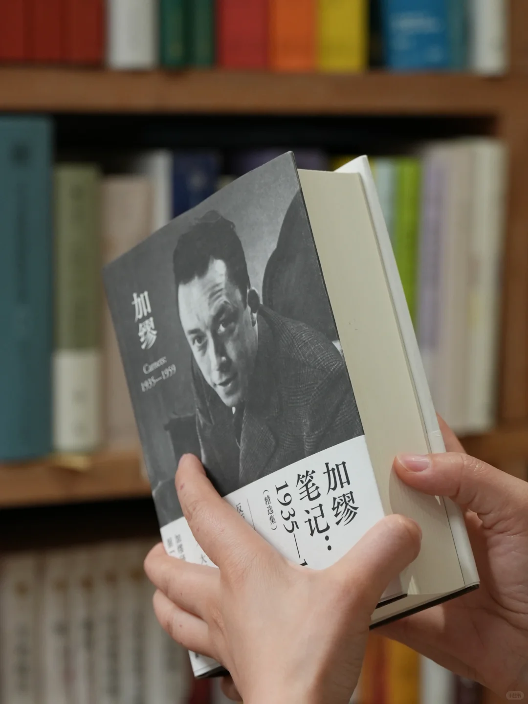 上半年读了三十本书，推荐这十本