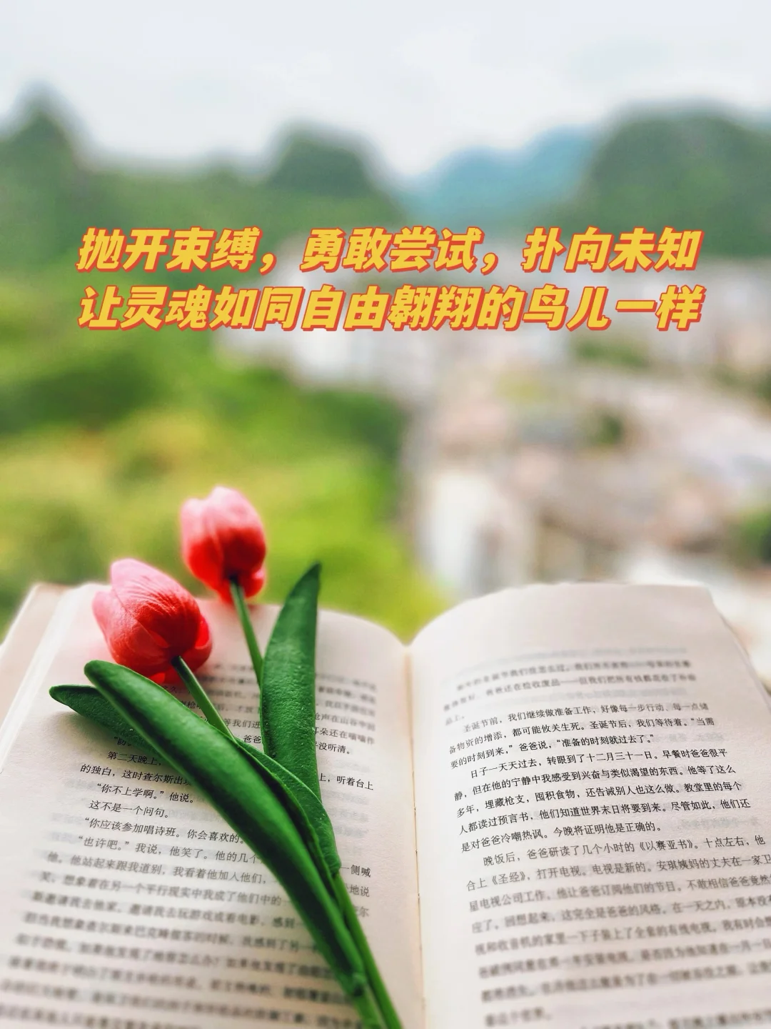 豆瓣评分超9.0的15本书🔥每本都值得反复读