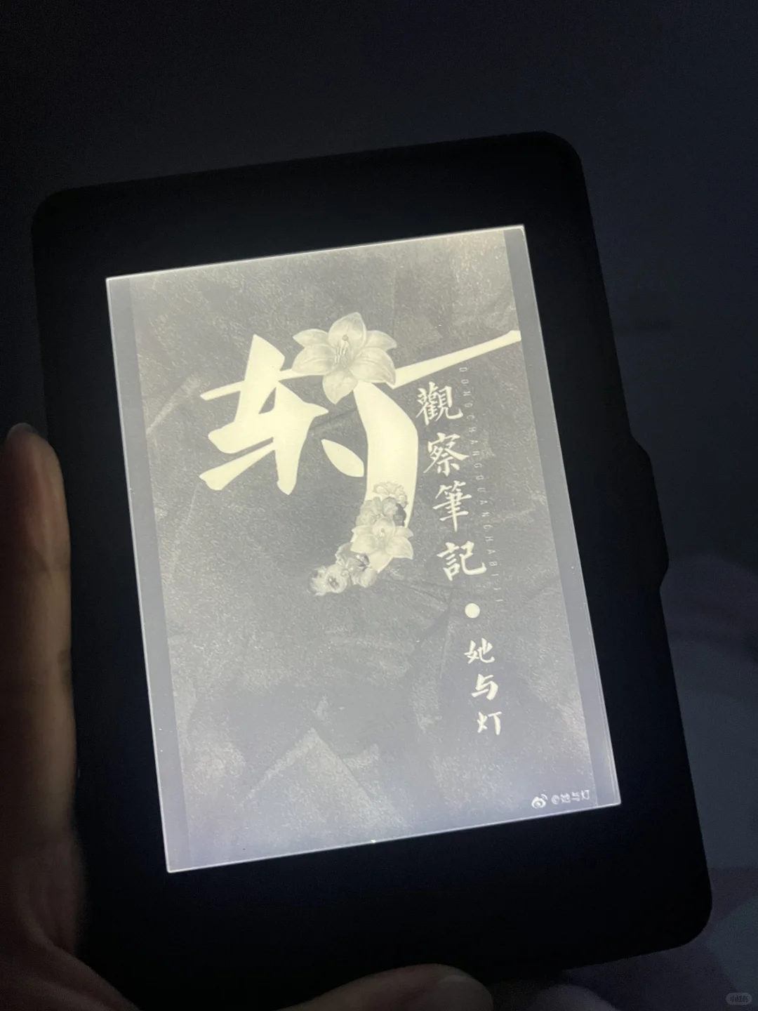 Kindle回本计划——七