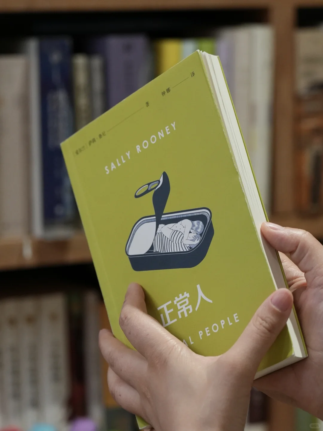 上半年读了三十本书，推荐这十本