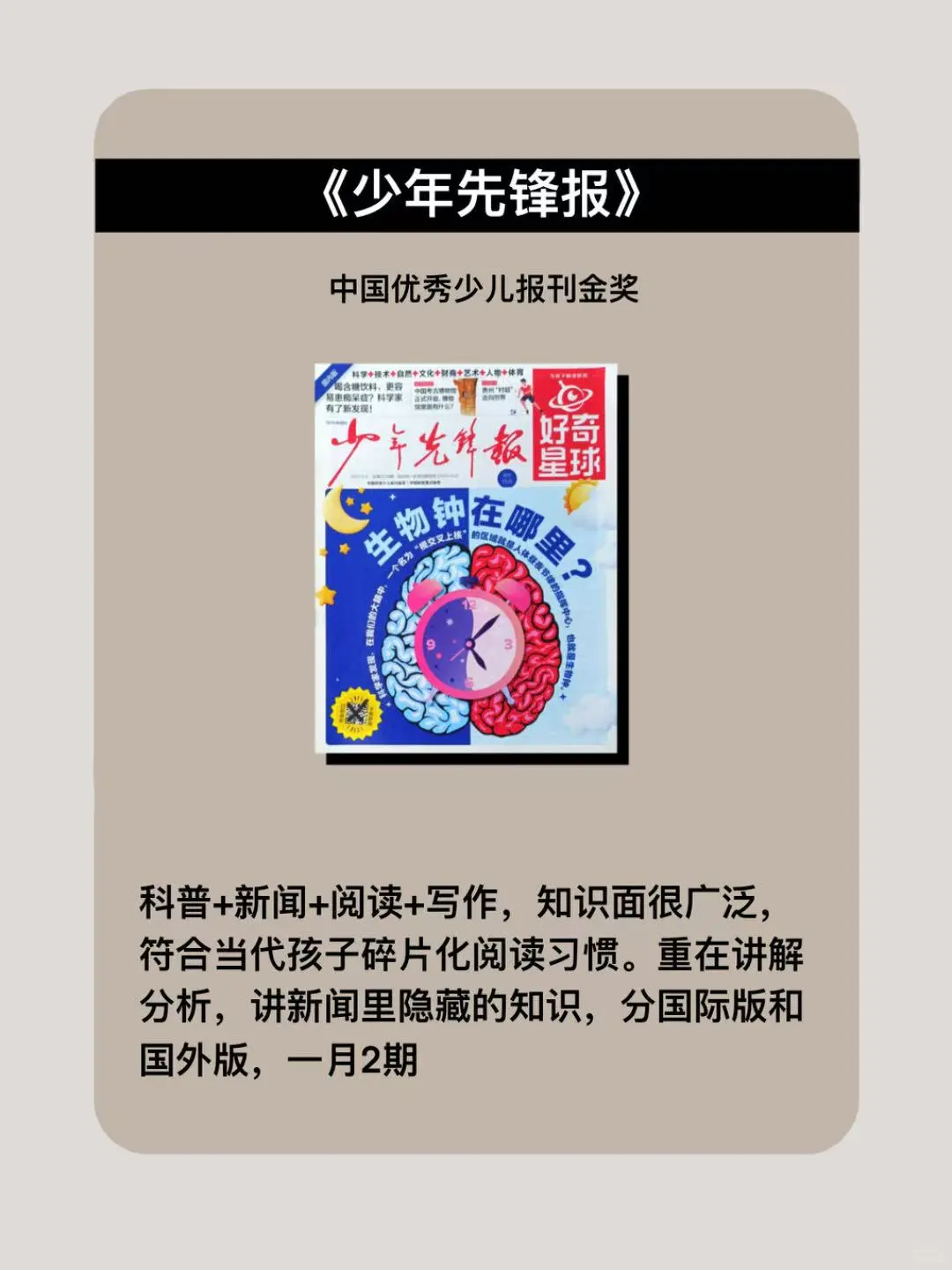 小学生课外提升🔥与同学拉开差距的8本书