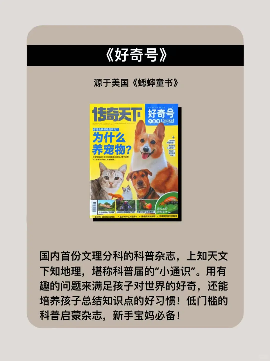 小学生课外提升🔥与同学拉开差距的8本书