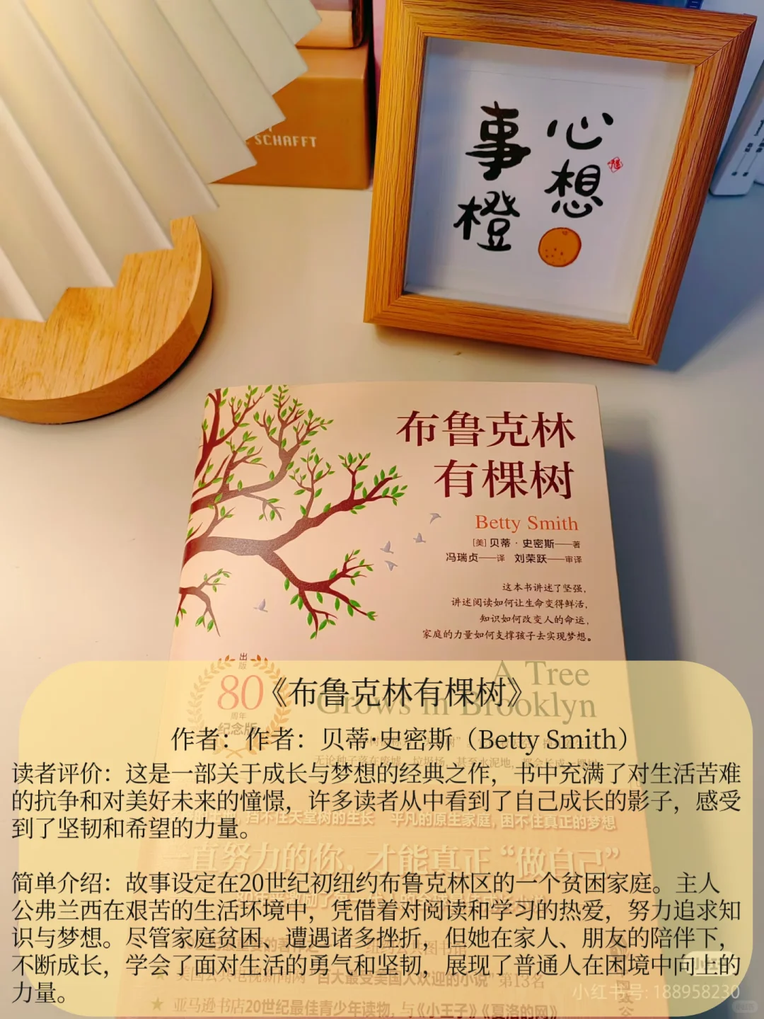 📖8本超级好看小说，专治不爱看书！💥