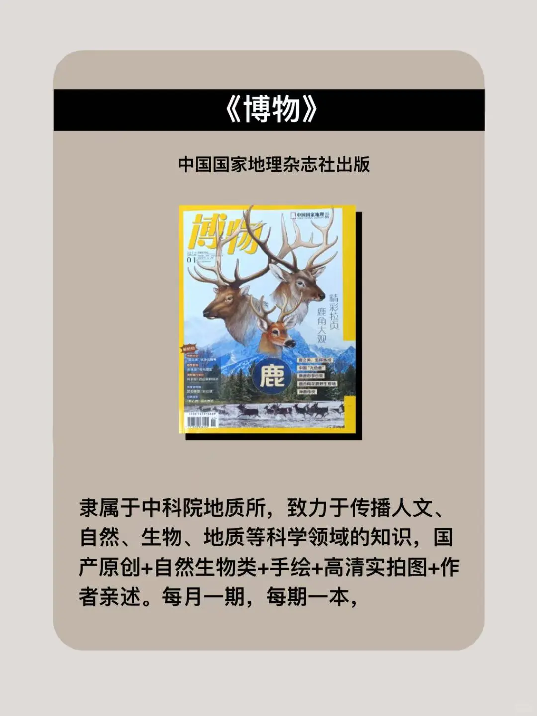 小学生课外提升🔥与同学拉开差距的8本书