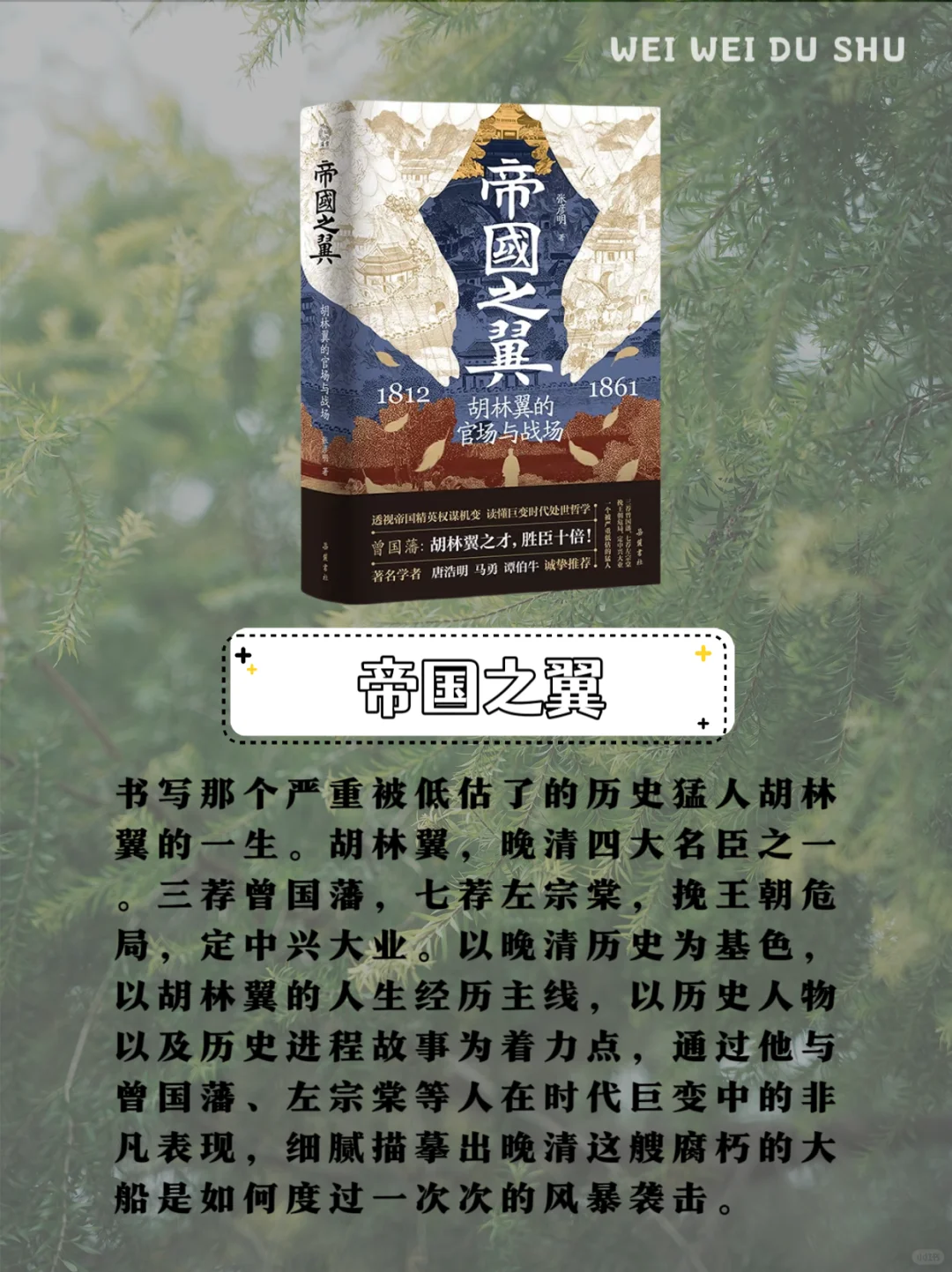 熬夜也要看完的7本历史小说！比追剧还上瘾