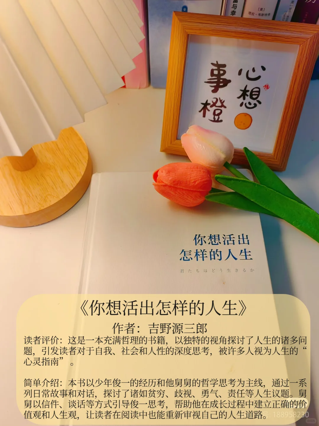 📖8本超级好看小说，专治不爱看书！💥