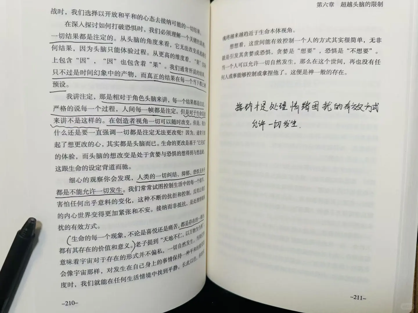 看完之后，我连痛苦都找不到