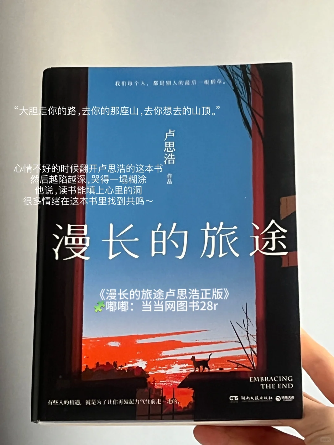 被朋友疯狂安利的温暖治愈书单！